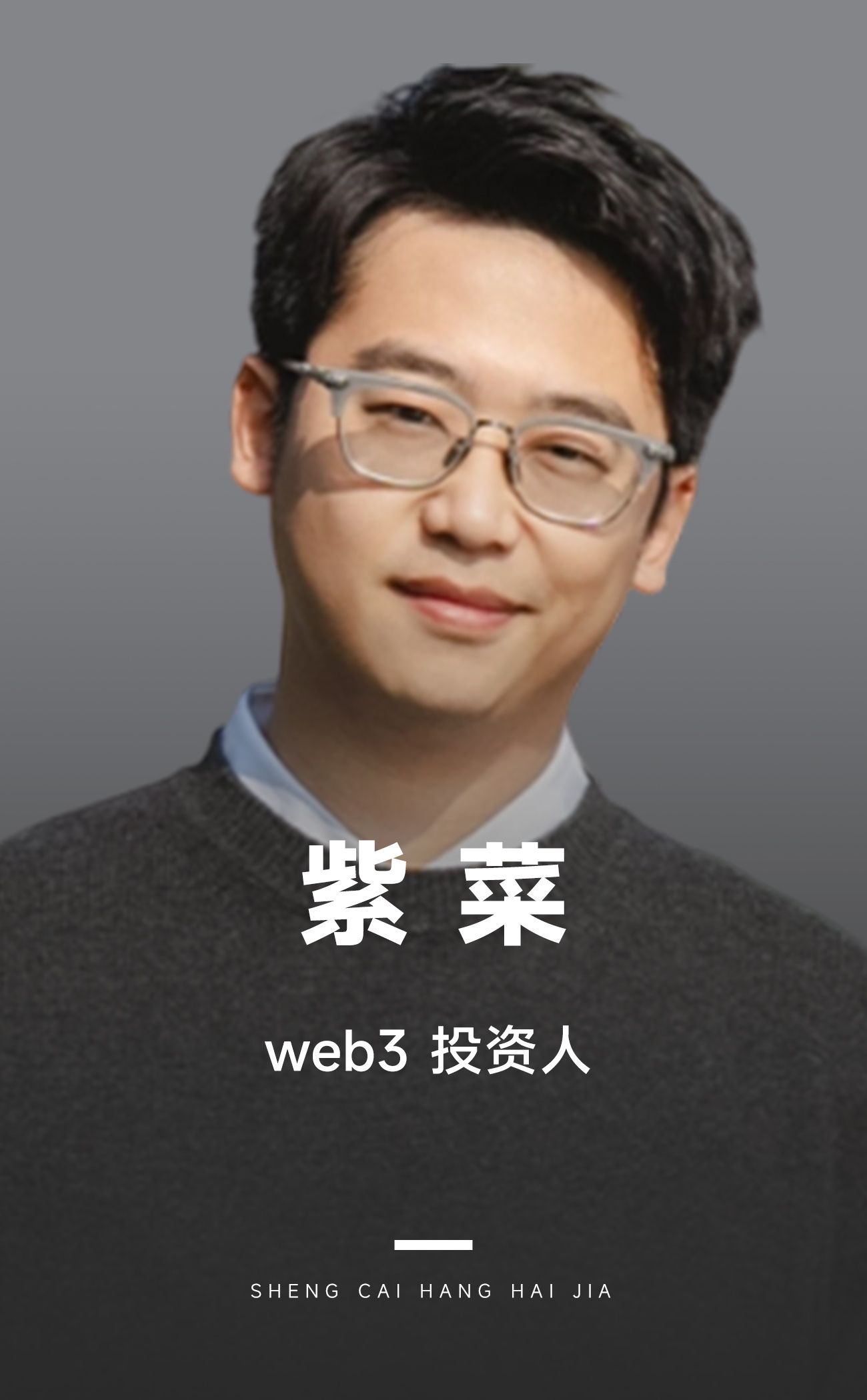 紫菜的年终碎碎念